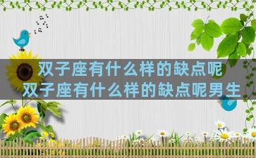 双子座有什么样的缺点呢 双子座有什么样的缺点呢男生